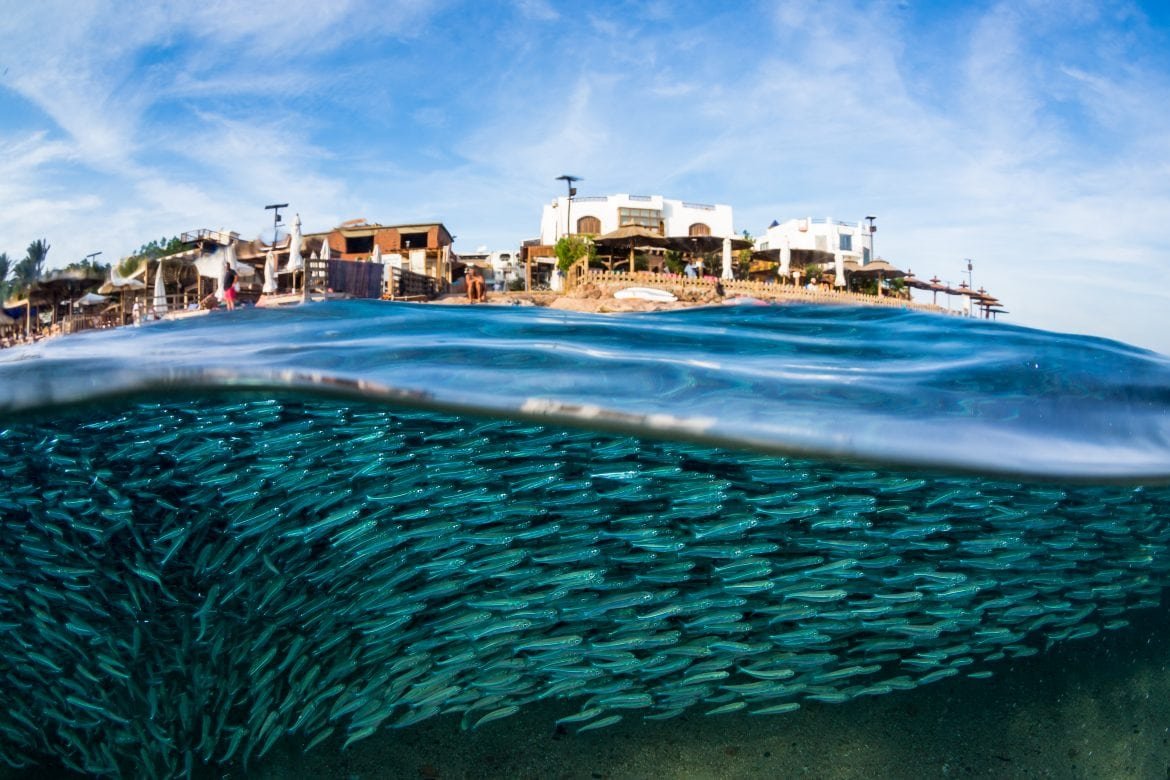 Dahab Golden Inn sinai, Egypt